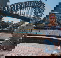 The Rocks  Darling Harbour With A Local Private  Personalized - Redcliffe Tourism