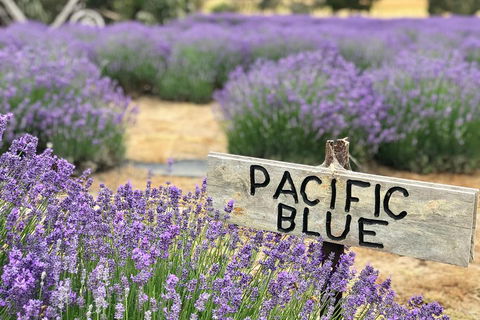 Kangaroo Island Food And Wine Trail Tour - Redcliffe Tourism 0
