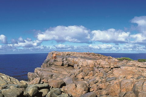 4 Day Tour: Albany, Margaret River, Valley Of The Giants TreeTop Walk From Perth - Redcliffe Tourism 0