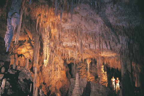4 Day Tour: Albany, Margaret River, Valley Of The Giants TreeTop Walk From Perth - Redcliffe Tourism 1