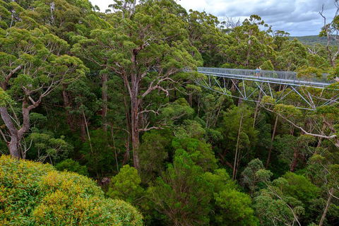 4 Day Tour: Albany, Margaret River, Valley Of The Giants TreeTop Walk From Perth - Redcliffe Tourism 4