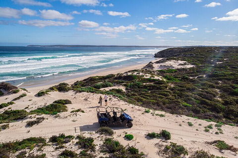 Small-Group Buggy Tour At Little Sahara With Guide - Redcliffe Tourism 1