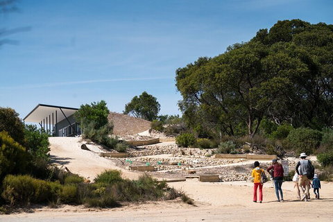 2-Hour Koala Walking Tour In Kangaroo Island - Redcliffe Tourism 3