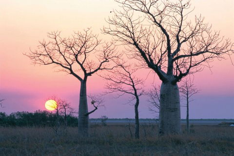 8-Day Outback Experience From Queensland - Redcliffe Tourism 5