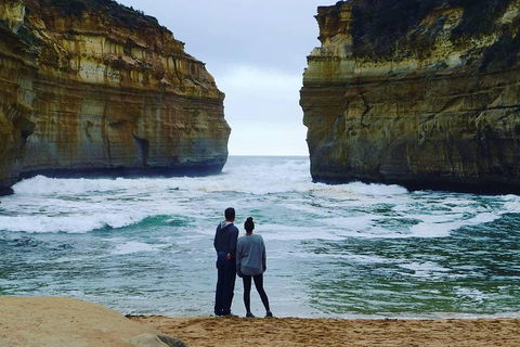 Great Ocean Road Small-Group Ecotour From Melbourne - Redcliffe Tourism 1