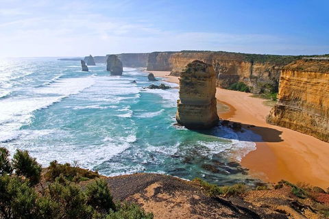 Great Ocean Road Small-Group Ecotour From Melbourne - Redcliffe Tourism 2