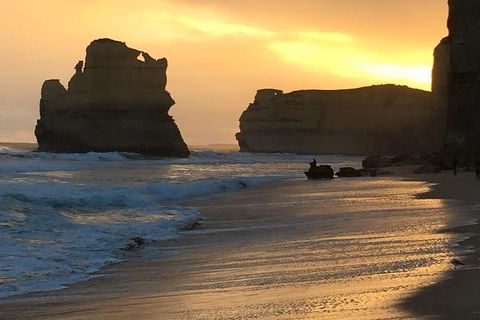 Great Ocean Road Small-Group Ecotour From Melbourne - Redcliffe Tourism 5