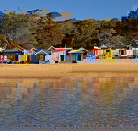 Mornington Peninsula Small Group day tour - Redcliffe Tourism