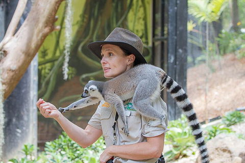 Currumbin Wildlife Sanctuary General Entry Ticket - Redcliffe Tourism 1