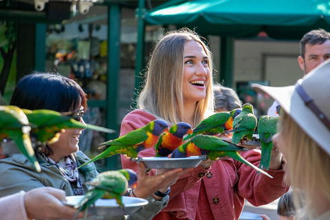 Currumbin Wildlife Sanctuary General Entry Ticket - Redcliffe Tourism 3