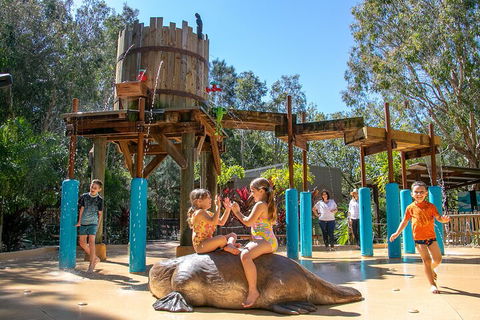Currumbin Wildlife Sanctuary General Entry Ticket - Redcliffe Tourism 5