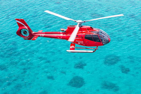 Helicopter And Cruise Packages From Port Douglas - Redcliffe Tourism 5