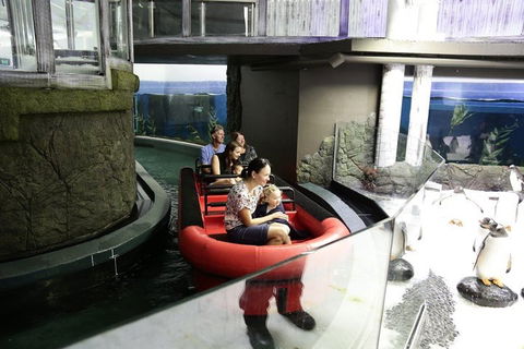 Sydney Attractions Pass: SEA LIFE Aquarium, Sydney Tower Eye, WILD LIFE Zoo And Madame Tussauds - Redcliffe Tourism 0