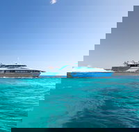 Rottnest Island All-Inclusive Grand Island Tour from Fremantle - Redcliffe Tourism