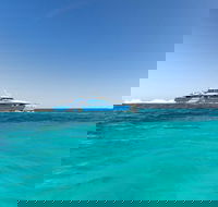 Rottnest Island Bayseeker Day Trip from Perth - Redcliffe Tourism