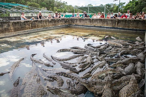 Hartley's Crocodile Adventures Day Trip From Palm Cove - Redcliffe Tourism 0