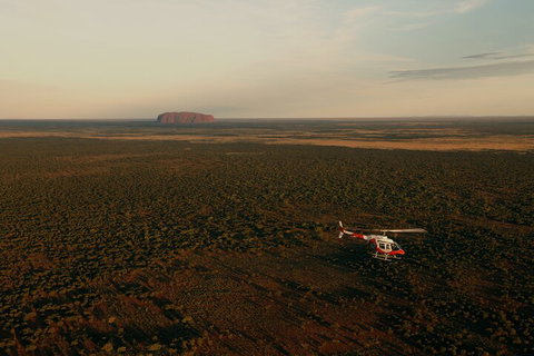 Helicopter Scenic: Lizard Safari - Redcliffe Tourism 4