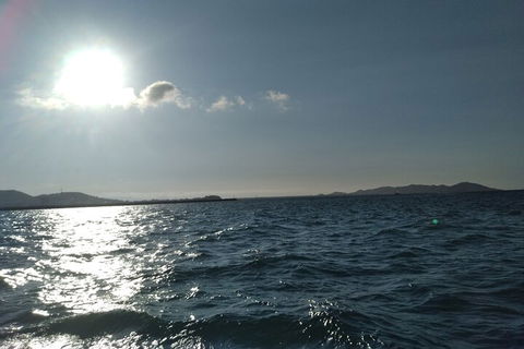 Townsville Small Group Early Morning Sailing Cruise Boat Tour Charter Hire - Redcliffe Tourism 4