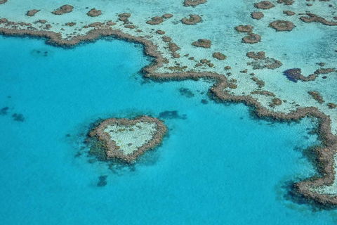 Reef And Island Scenic Flight From Airlie Beach - Redcliffe Tourism 5