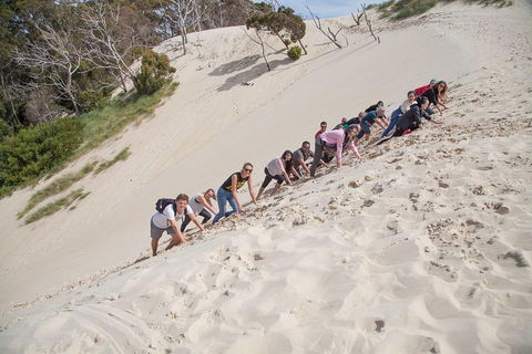 6-Day Tasmanian Explorer Adventure Tour From Hobart - Redcliffe Tourism 2