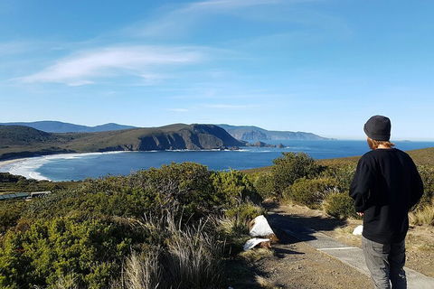 4-Day Fabulous Tasmania Tour: Wineglass Bay, Port Arthur, Devils & Bruny Island - Redcliffe Tourism 0