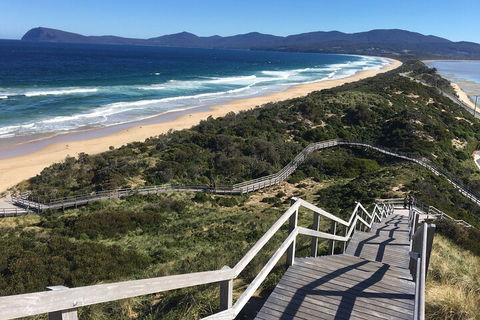 4-Day Fabulous Tasmania Tour: Wineglass Bay, Port Arthur, Devils & Bruny Island - Redcliffe Tourism 5