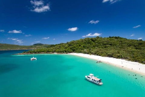 Whitehaven Beach And Hill Inlet | Awesome Beach BBQ | Family Friendly - Redcliffe Tourism 3