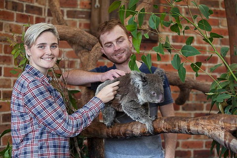 Private Tour: Blue Mountains Day Trip From Sydney - Redcliffe Tourism 0