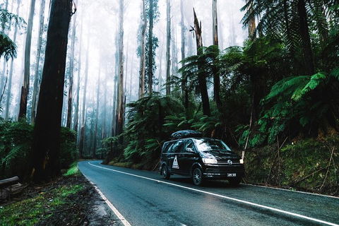 Small Group: Mornington Peninsula Hike And Hot Springs Day Tour From Melbourne - Redcliffe Tourism 3