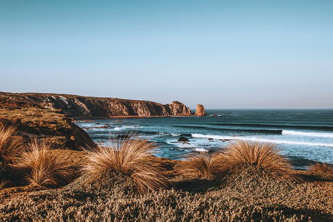 Small Group - Phillip Island Hike & Penguin Parade Day Tour From Melbourne - Redcliffe Tourism 0