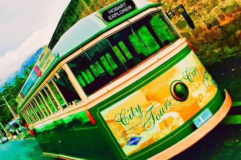 Hobart Half-Day Sightseeing Coach Tram Tour - Redcliffe Tourism 5