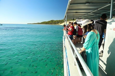 Adventure Moreton Island Wrecks Adventure Package - Redcliffe Tourism 1
