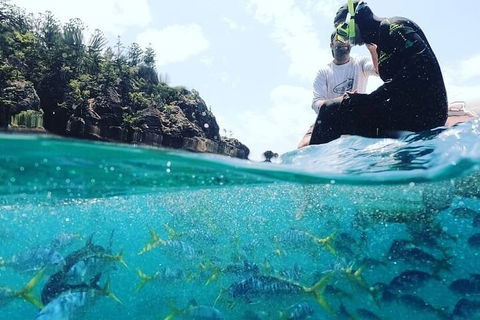 2 Night Small Group Whitsundays Sailing Adventure Aboard Mandrake - Redcliffe Tourism 5