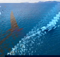 2-Night Whitsunday Islands Sailing Adventure on Trimaran Avatar - Redcliffe Tourism