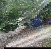 Cairns ATV Adventure Tour and Morning Train - Redcliffe Tourism