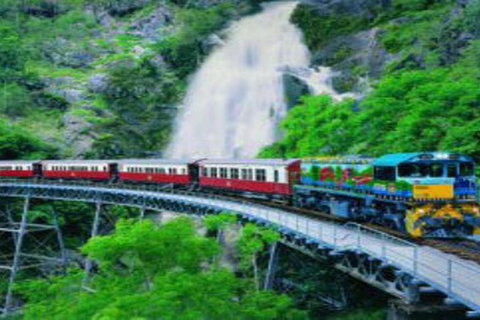 Cairns ATV Adventure Tour And Morning Train - Redcliffe Tourism 4