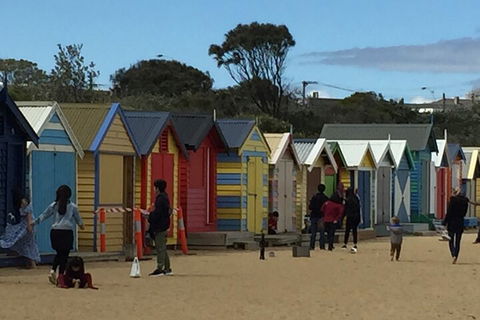 Private Half Day Melbourne City Tour With Local Guide - Redcliffe Tourism 2