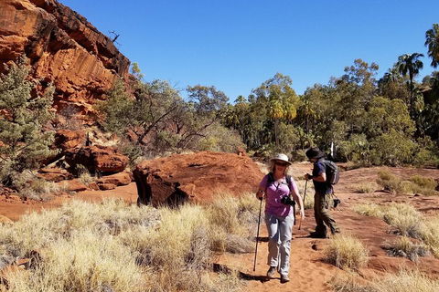 Palm Valley And Hermannsburg 1 Day 4WD Tour - Redcliffe Tourism 1