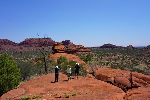 Palm Valley And Hermannsburg 1 Day 4WD Tour - Redcliffe Tourism 2