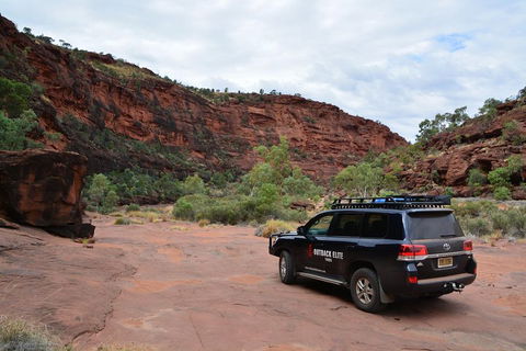 Palm Valley And Hermannsburg 1 Day 4WD Tour - Redcliffe Tourism 5