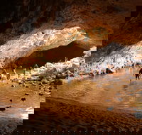 Windjana Explorer - Redcliffe Tourism
