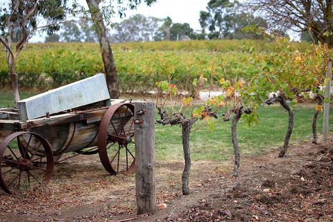 Maggie Beer Farm - Barossa Valley Regional Tour - Redcliffe Tourism 1
