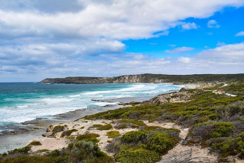 Kangaroo Island Luxury Small Group 'East End Explorer' Full Day Tour - Redcliffe Tourism 0