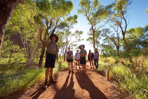 Uluru Small Group Tour Including Sunset - Redcliffe Tourism 0