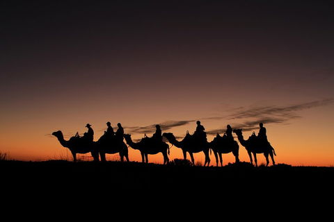 Uluru Small-Group Tour By Camel At Sunrise Or Sunset - Redcliffe Tourism 4