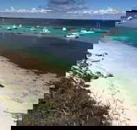 Experience Rottnest with Ferry  Bike Hire from Perth or Fremantle - Redcliffe Tourism