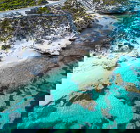 Rottnest Island Round-Trip Ferry from Perth or Fremantle - Redcliffe Tourism