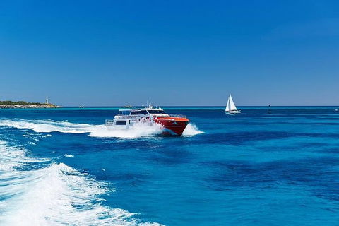 Rottnest Island Round-Trip Ferry From Perth Or Fremantle - Redcliffe Tourism 4