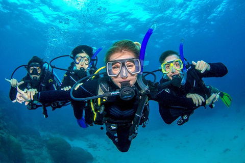 Great Barrier Reef Diving And Snorkeling Cruise From Cairns - Redcliffe Tourism 0