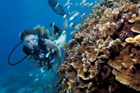 Great Barrier Reef Diving And Snorkeling Cruise From Cairns - Redcliffe Tourism 1
